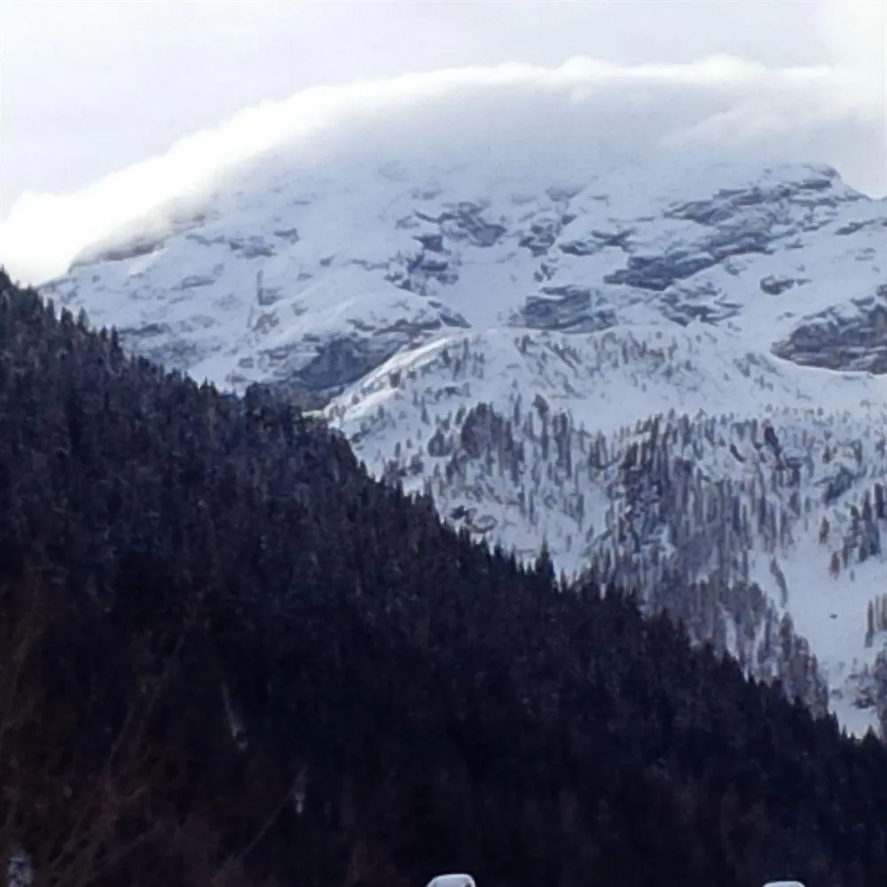 Hotel Orsa Maggiore Falcade